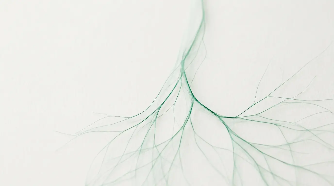 Red neuronal en forma de árbol: el sistema aprende de cada cierre